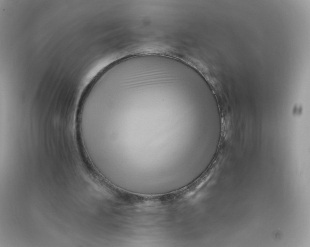 X0000090780196200708172135