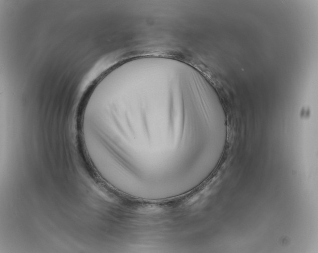 X0000090780198200708172135