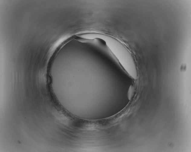 X0000090780200200708172135
