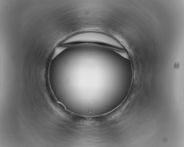 X0000090780201200708172135
