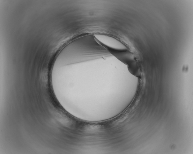 X0000090780202200708172134