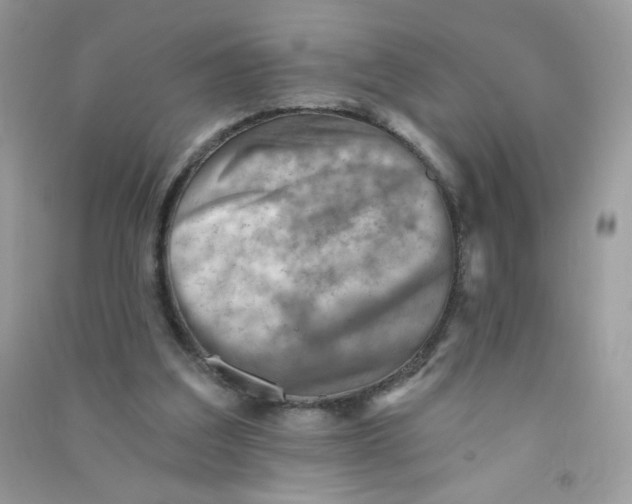 X0000090780203200708172134