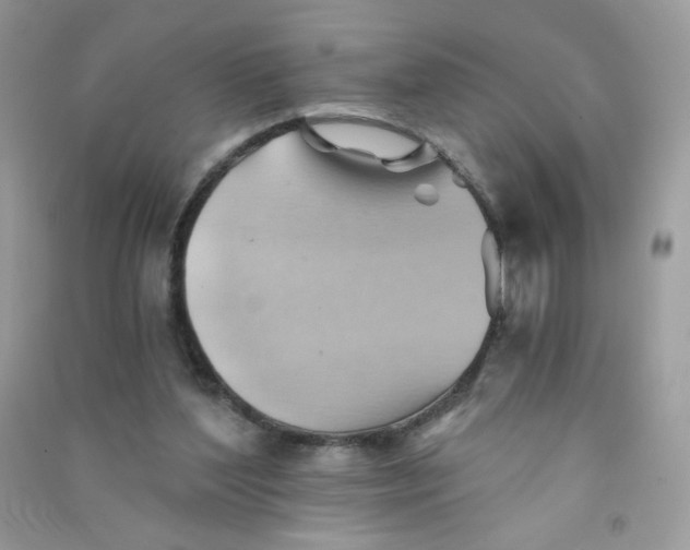 X0000090780204200708172134