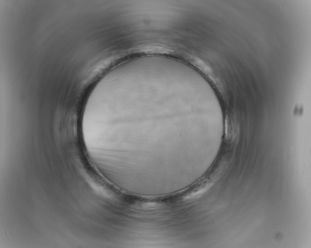 X0000090780205200708172134