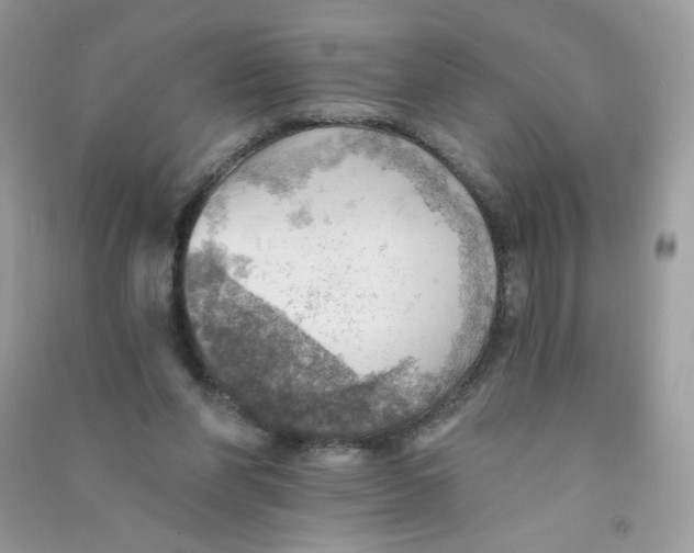 X0000090780206200708172134