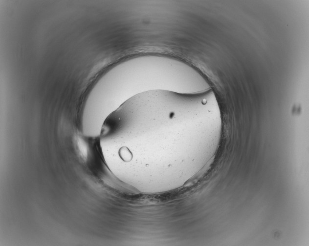 X0000090780207200708172134