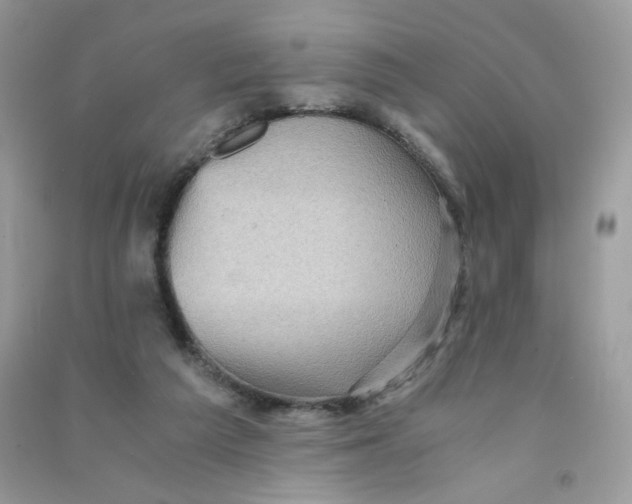 X0000090780209200708172134