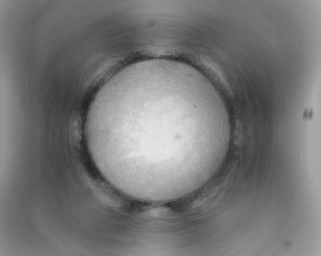 X0000090780210200708172134