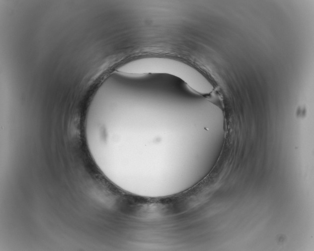 X0000090780212200708172134