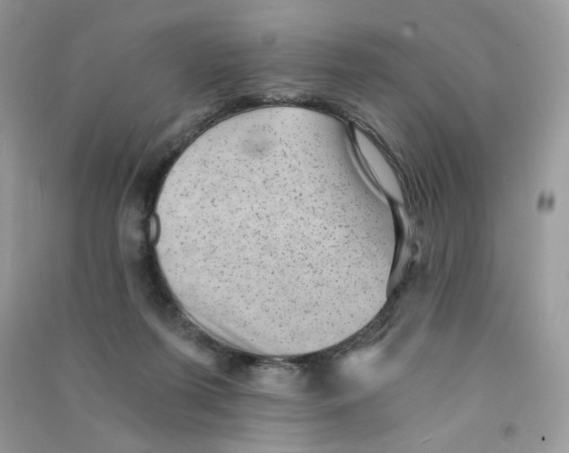 X0000090780215200708172134