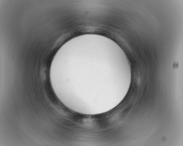 X0000090780216200708172134
