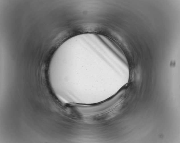 X0000090780217200708172134