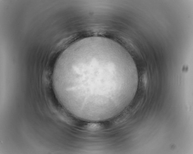 X0000090780218200708172134