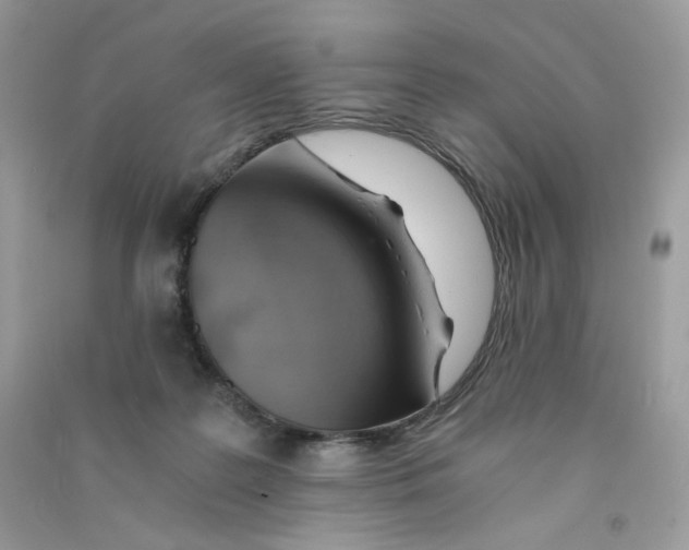 X0000090780219200708172134