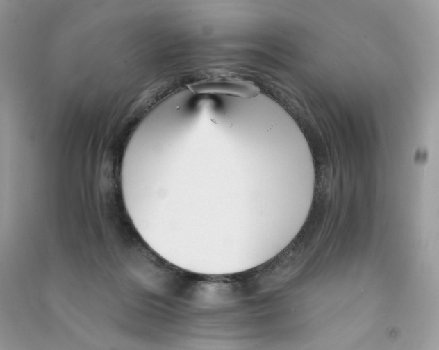 X0000090780220200708172134