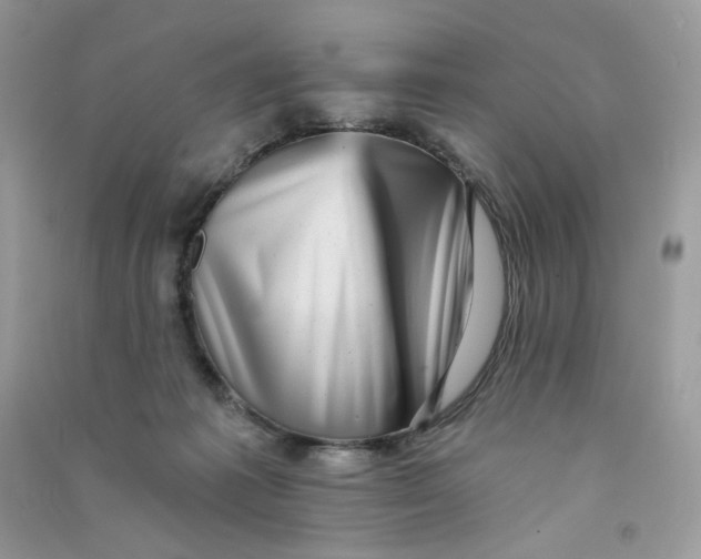 X0000090780221200708172134