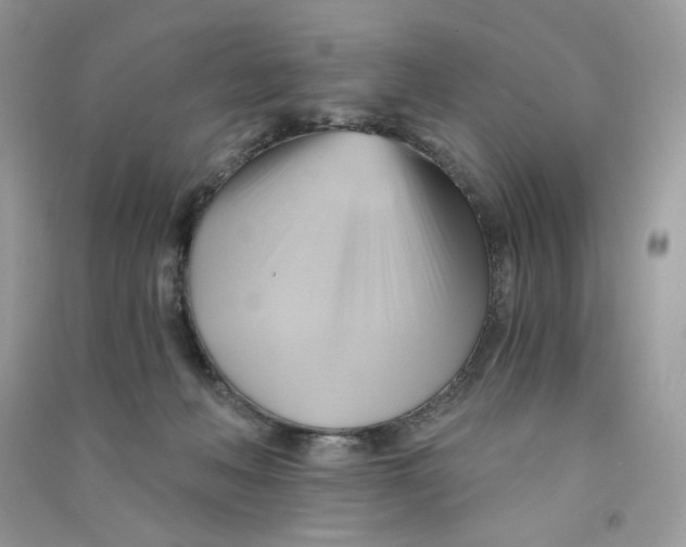 X0000090780222200708172134