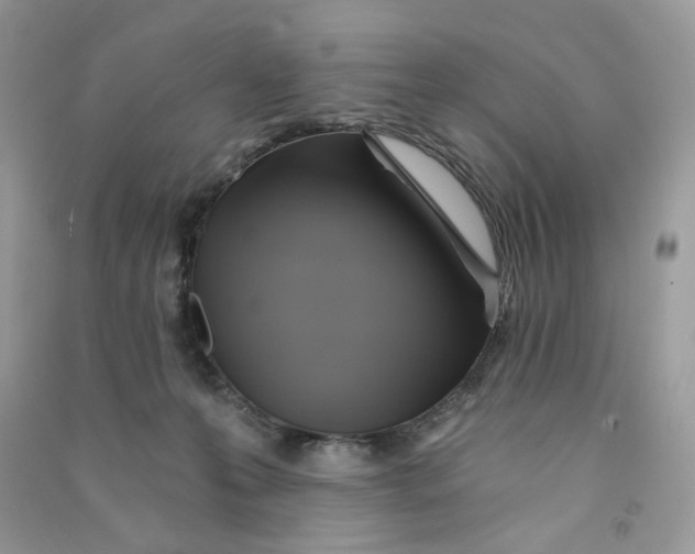 X0000090780223200708172134
