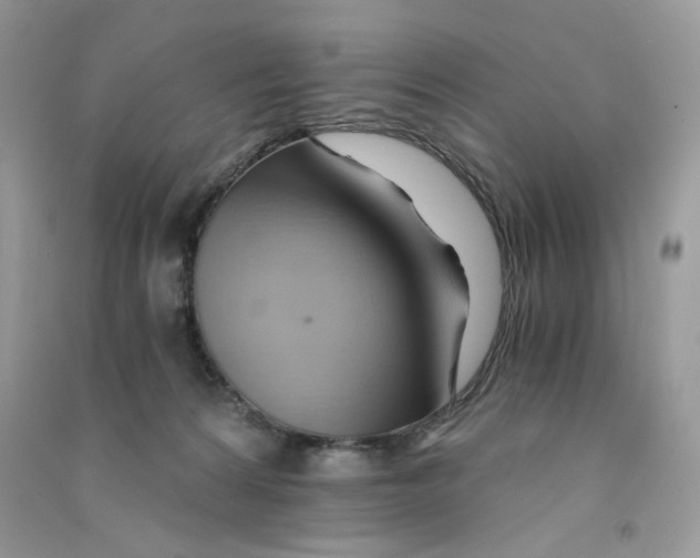 X0000090780224200708172134