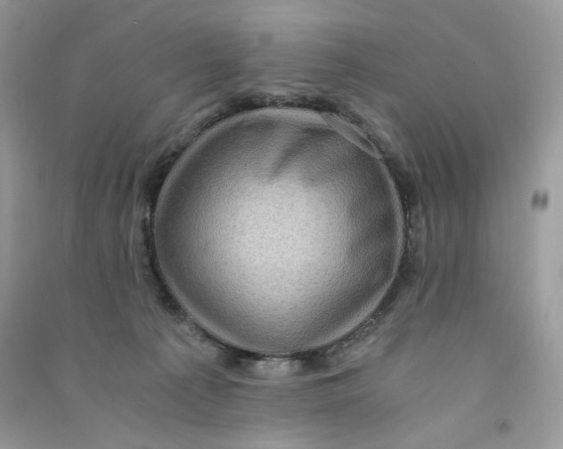 X0000090780225200708172134