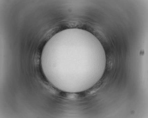 X0000090780226200708172134