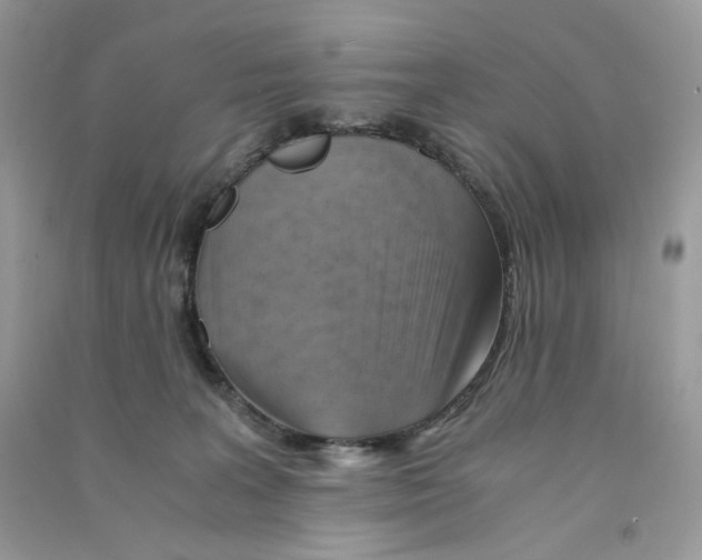 X0000090780227200708172134