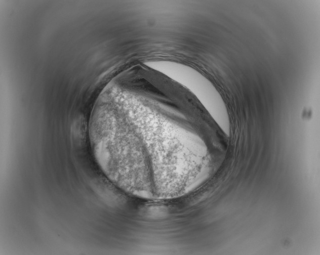 X0000090780228200708172134