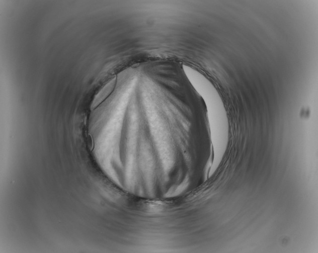 X0000090780229200708172134
