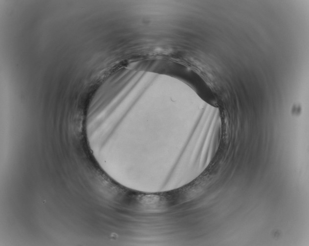 X0000090780230200708172134