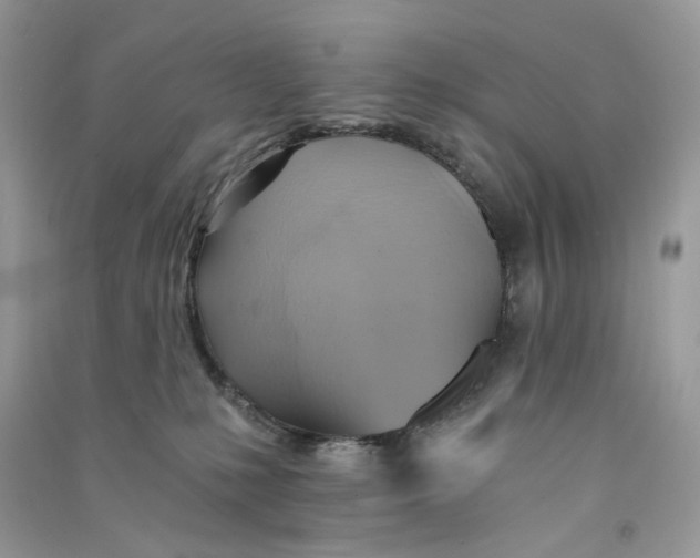 X0000090780231200708172134