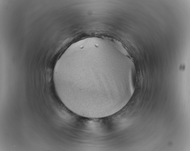 X0000090780232200708172134