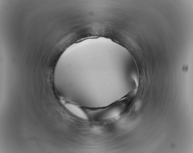 X0000090780233200708172134
