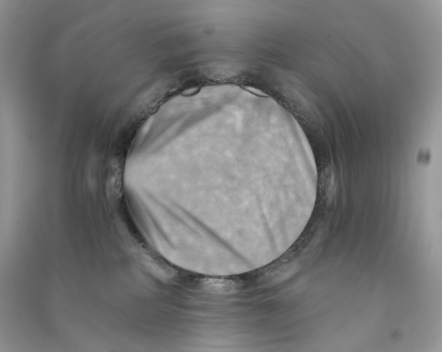 X0000090780234200708172134