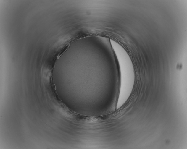 X0000090780235200708172134