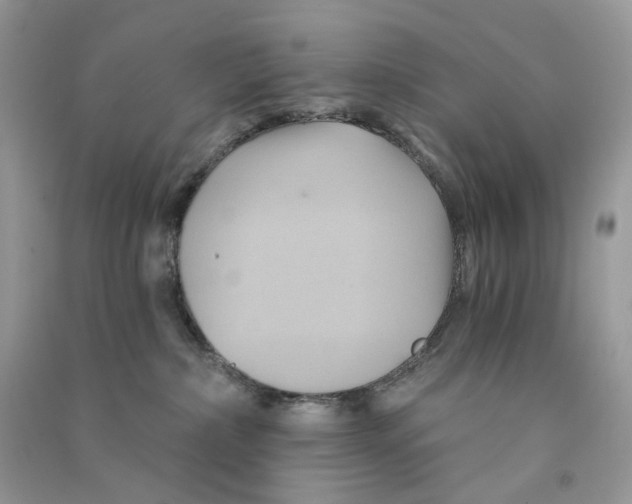 X0000090780236200708172134