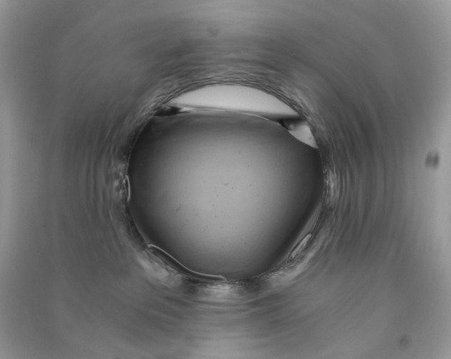 X0000090780237200708172134