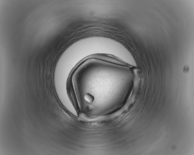 X0000090780239200708172134