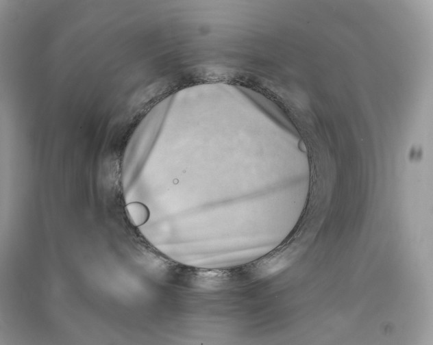 X0000090780240200708172134