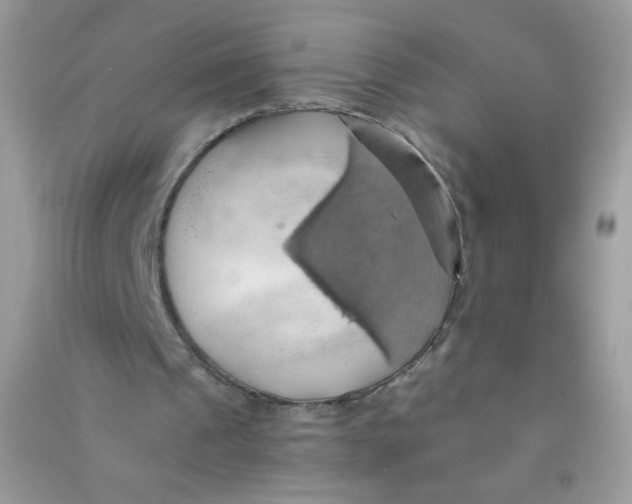 X0000090780241200708172133