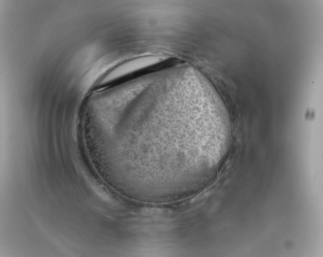 X0000090780242200708172133