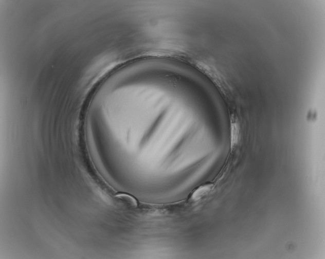 X0000090780243200708172133