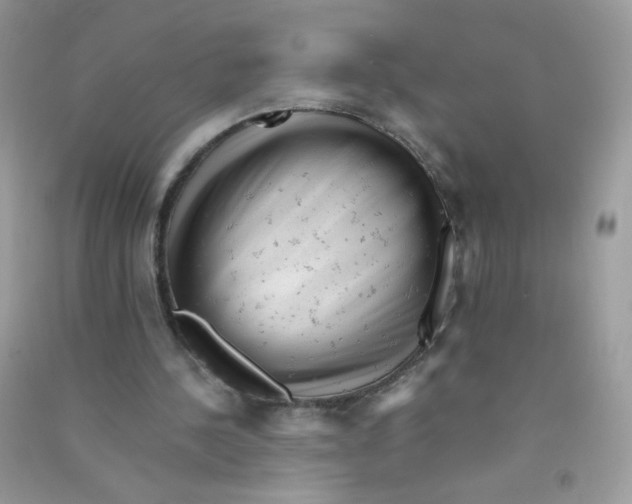 X0000090780244200708172133