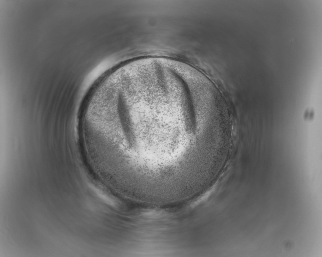 X0000090780246200708172133