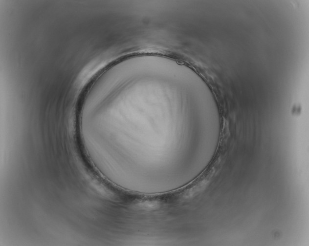 X0000090780247200708172133