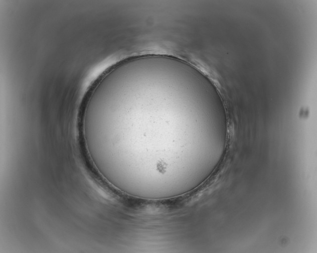 X0000090780248200708172134