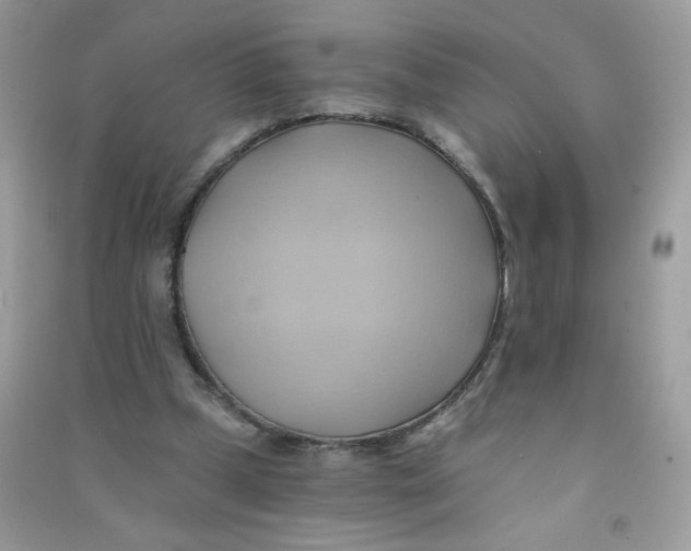 X0000090780249200708172134