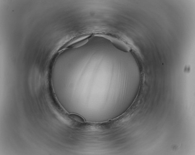 X0000090780250200708172134