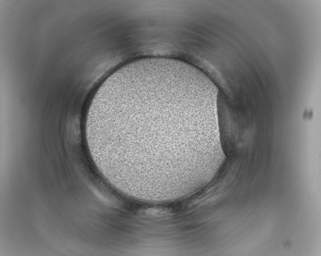 X0000090780251200708172134