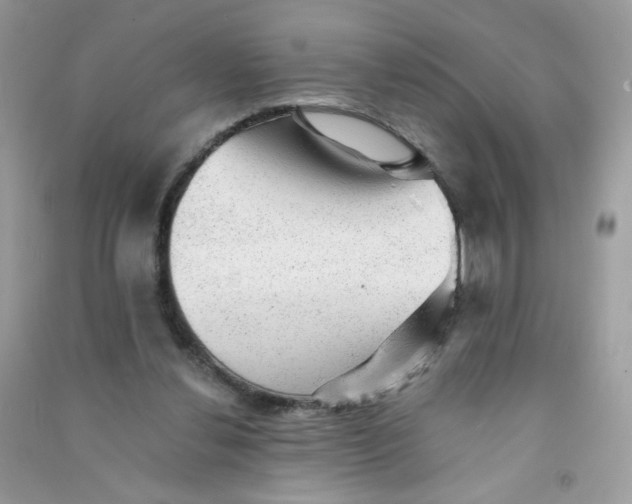 X0000090780252200708172134
