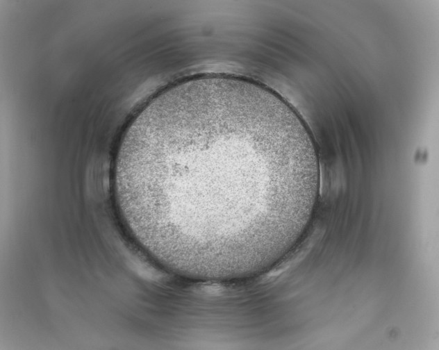 X0000090780253200708172134